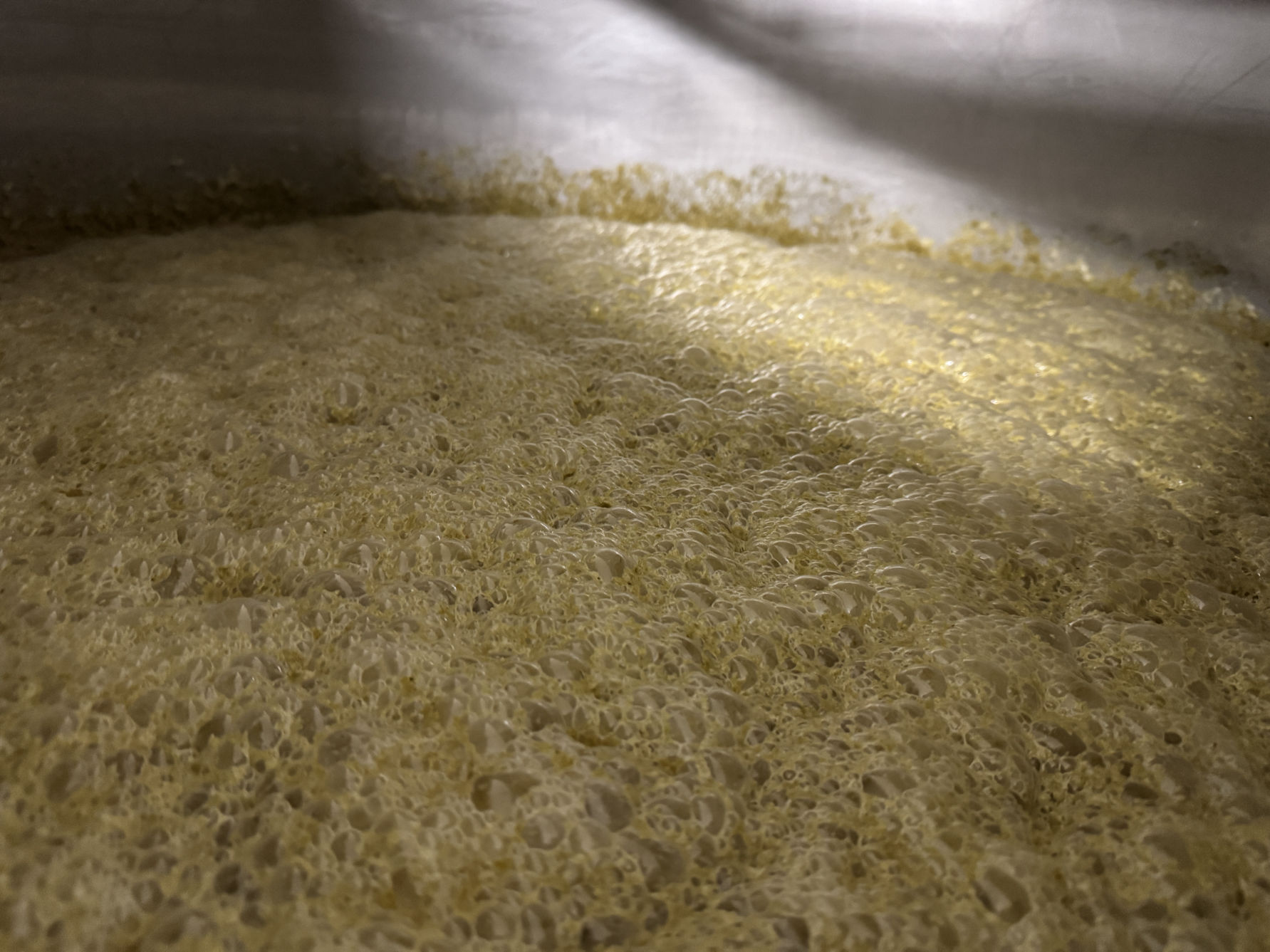 Real hops brewing at chelmsford brewery
